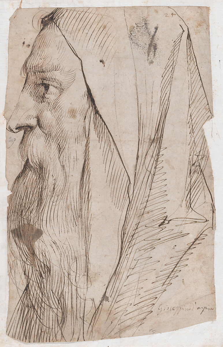 Head of a Bearded Man Wearing a Hood in Profile Facing Left, Cavaliere d&#39;Arpino (Giuseppe Cesari) (Italian, Arpino 1568–1640 Rome), Pen and brown ink 