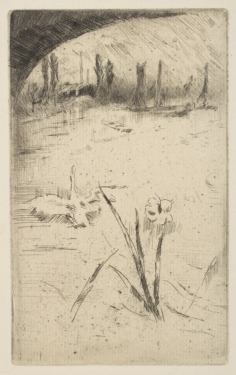 Swan and Iris (Sketch after Cecil Lawson's "Swan and Iris"), James McNeill Whistler (American, Lowell, Massachusetts 1834–1903 London), Etching and drypoint; sixth state of six (Glasgow); printed in black ink on medium weight ivory laid paper 