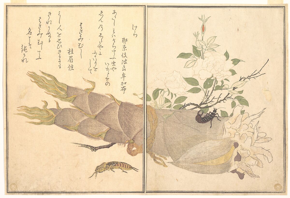 Mole Cricket (Kera); Earwig, (Hasami-mushi), from the Picture Book of Crawling Creatures (Ehon mushi erami), Kitagawa Utamaro (Japanese, ca. 1754–1806), Page from woodblock printed book; ink and color on paper, Japan 
