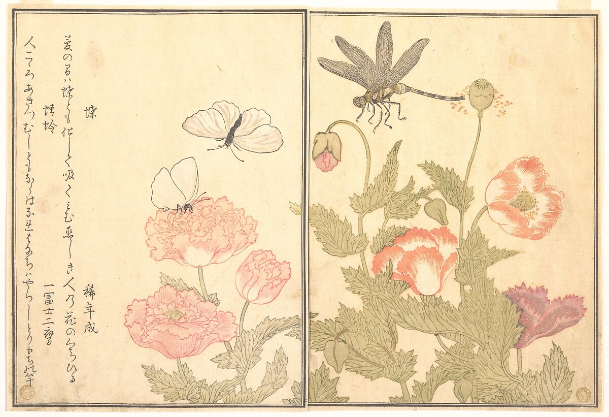 Butterfly (Chō); Dragonfly (Kagerō or Tonbo), from the Picture Book of Crawling Creatures (Ehon mushi erami), Kitagawa Utamaro  Japanese, Page from woodblock printed book; ink and color on paper, Japan