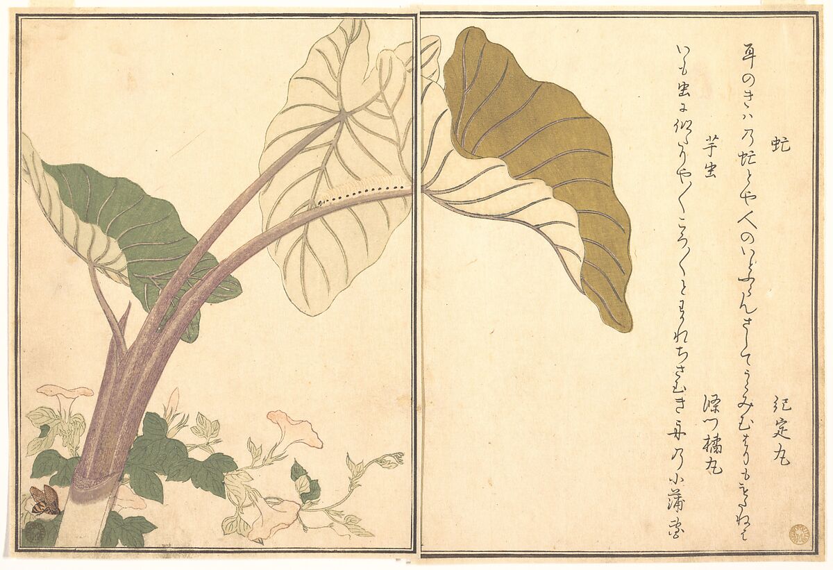 Horsefly (abu); Green Caterpillar, imomushi, from the Picture Book of Crawling Creatures (Ehon mushi erami), Kitagawa Utamaro  Japanese, Page from woodblock printed book; ink and color on paper, Japan