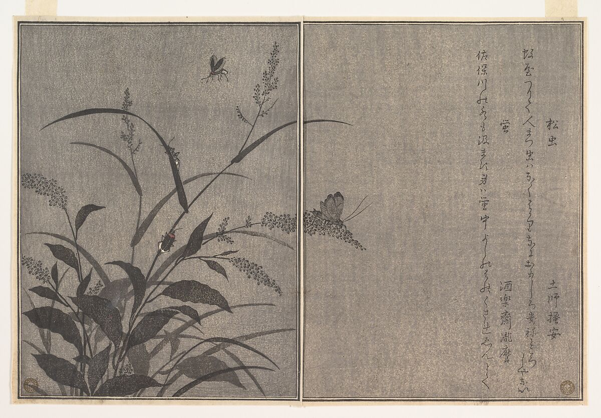 Tree cricket (Matsumushi); Firefly (Hotaru), from the Picture Book of Crawling Creatures (Ehon mushi erami), Kitagawa Utamaro (Japanese, ca. 1754–1806), Page from woodblock printed book; ink and color on paper, Japan 