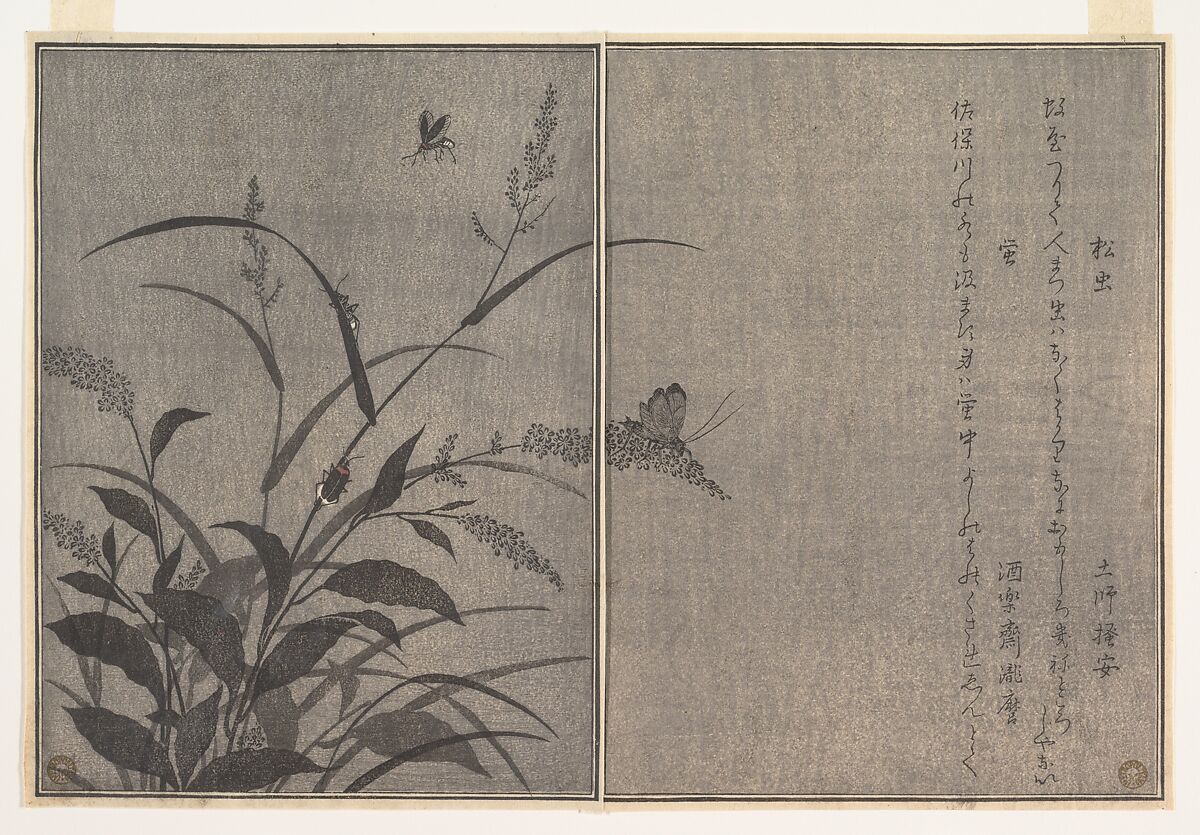 Tree cricket (Matsumushi); Firefly (Hotaru), from the Picture Book of Crawling Creatures (Ehon mushi erami), Kitagawa Utamaro  Japanese, Page from woodblock printed book; ink and color on paper, Japan