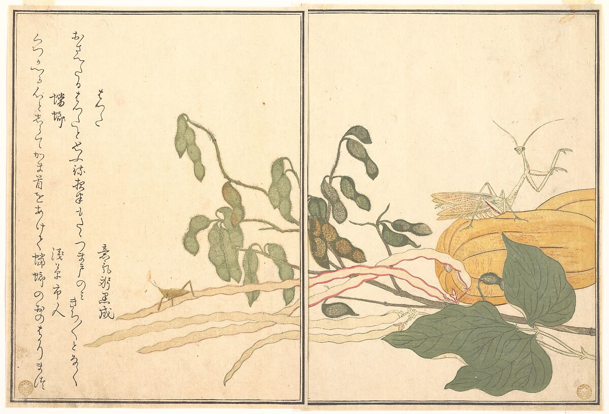 Cone-headed Grasshopper or Locust, (batta); Praying Mantis (Tōrō or Kamakiri), from the Picture Book of Crawling Creatures (Ehon mushi erami), Kitagawa Utamaro (Japanese, ca. 1754–1806), Page from woodblock printed book; ink and color on paper, Japan 