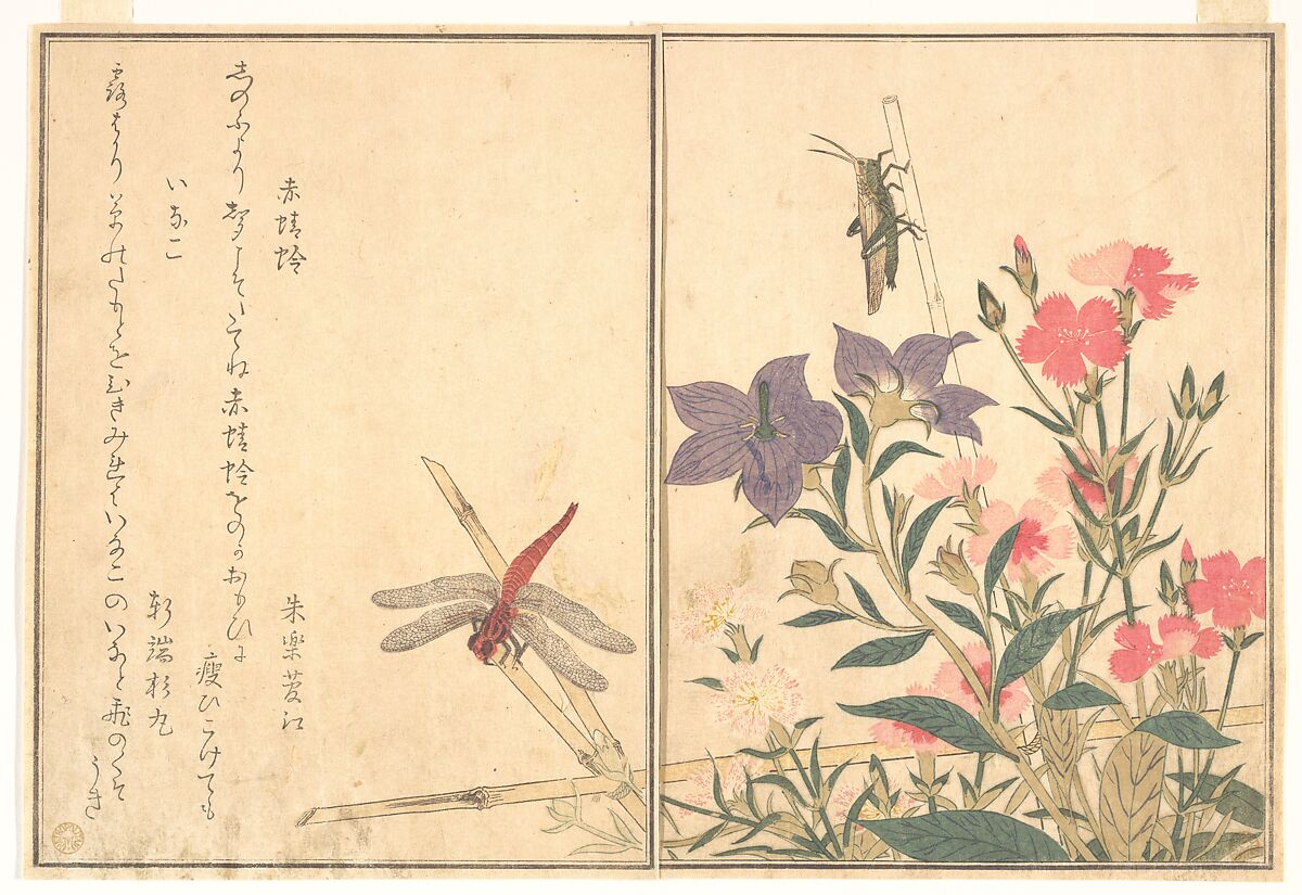 Red Dragonfly (Akatonbo); Locust (Inago), from the Picture Book of Crawling Creatures (Ehon mushi erami), Kitagawa Utamaro  Japanese, Page from woodblock-printed book; ink and color on paper, Japan