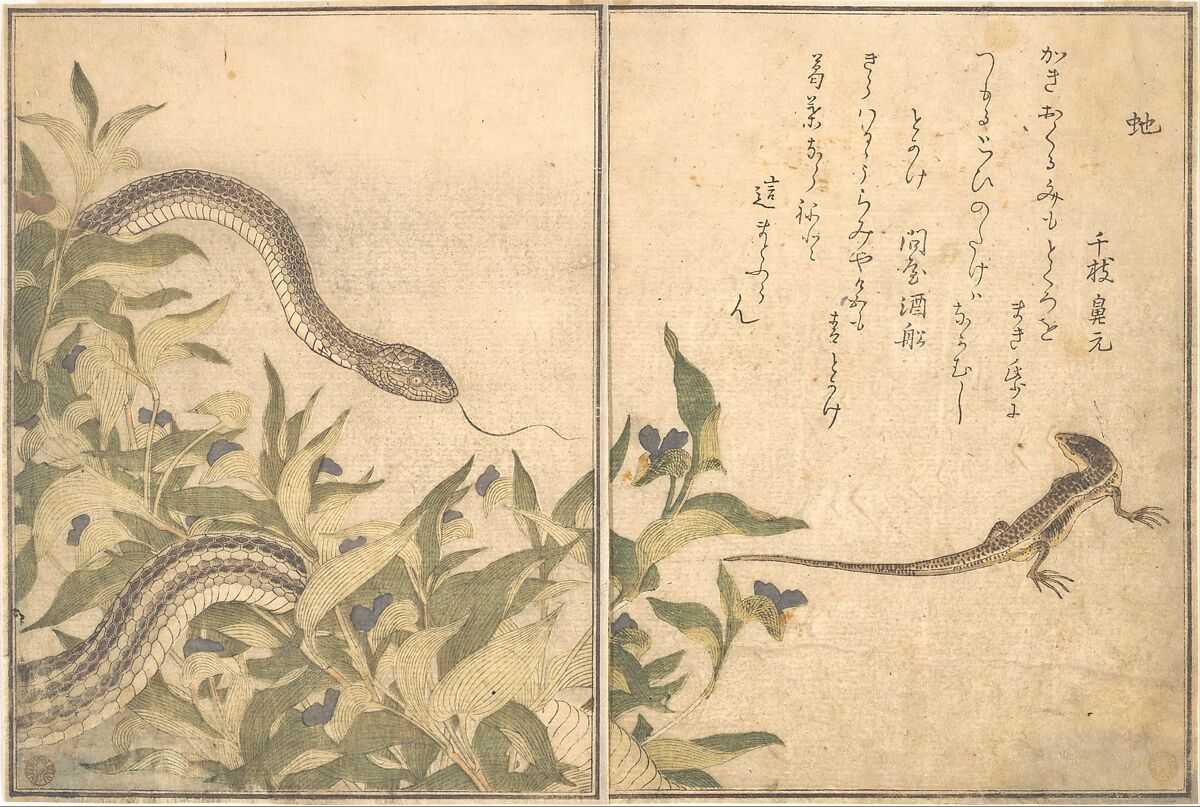 Rat Snake (Hebi); Lizard or Skink (Tokage), from the Picture Book of Crawling Creatures (Ehon mushi erami)
, Kitagawa Utamaro  Japanese, Page from woodblock-printed book; ink and color on paper, Japan