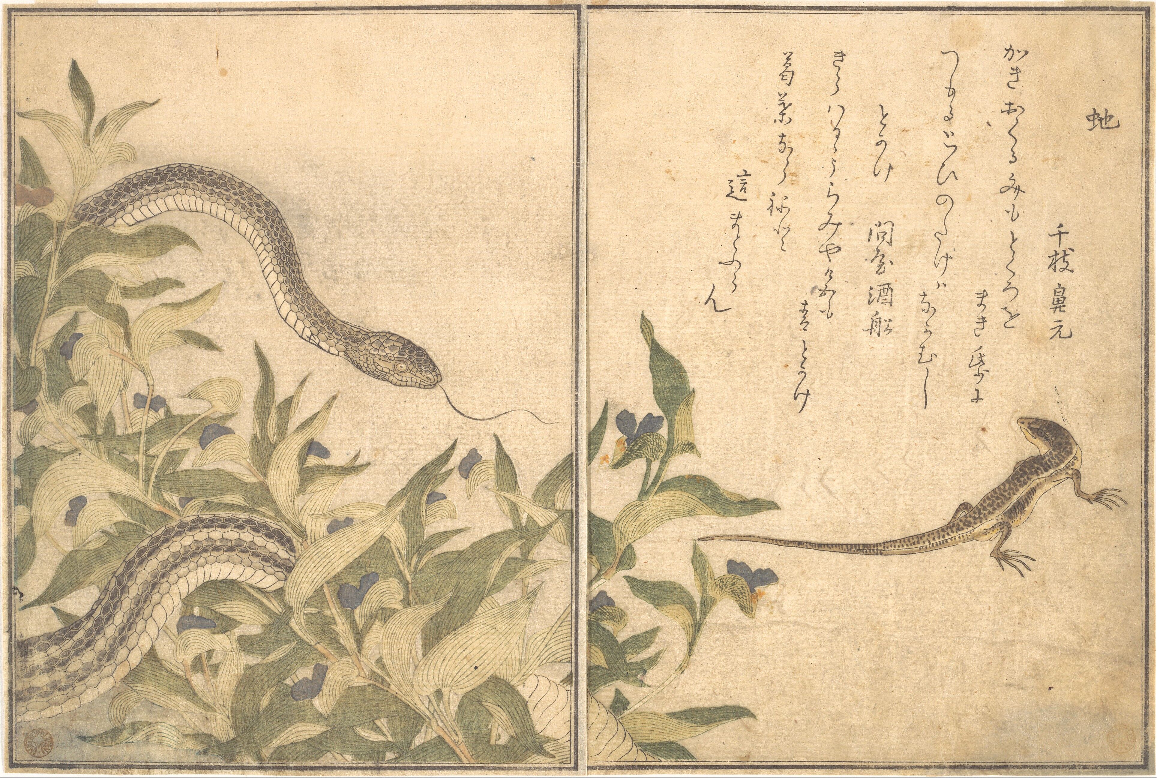 アート作品 『 Hebi 』 ヘビ snake 原画　現代アート source