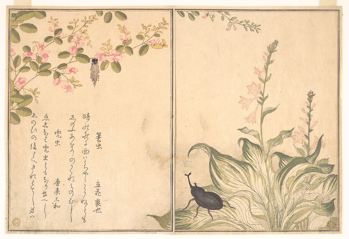 Bagworm (Minomushi); Horned Scarab Beetle (Kabutomushi), from the Picture Book of Crawling Creatures (Ehon mushi erami), Kitagawa Utamaro (Japanese, ca. 1754–1806), Page from woodblock-printed book; ink and color on paper, Japan 