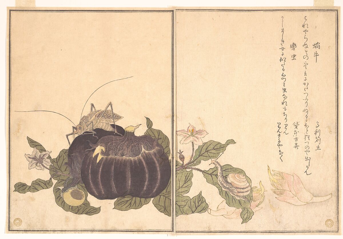 Land Snail (Katatsumuri); Giant Katydid (Kutsuwamushi), from the Picture Book of Crawling Creatures (Ehon mushi erami)
, Kitagawa Utamaro  Japanese, Page from woodblock-printed book; ink and color on paper, Japan