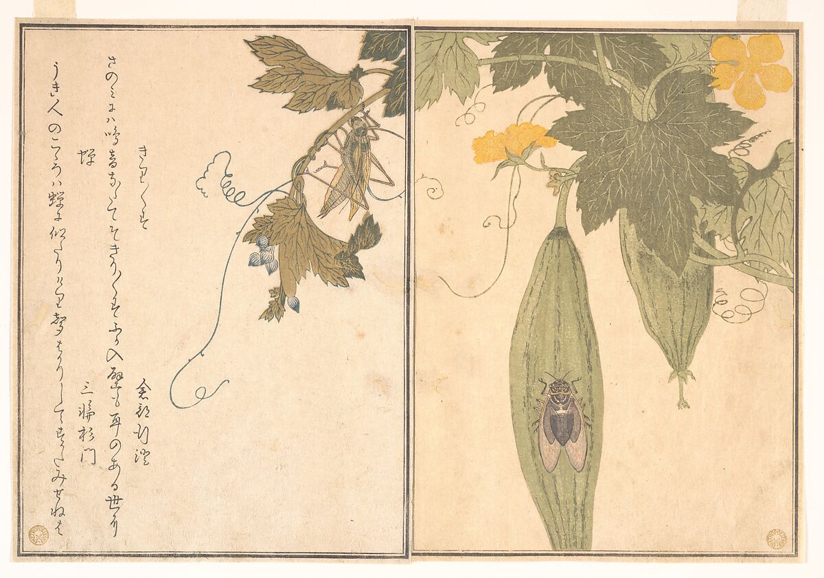 Grasshopper (Kirigirisu); Cicada (Semi), from the Picture Book of Crawling Creatures (Ehon mushi erami), Kitagawa Utamaro (Japanese, ca. 1754–1806), Page from woodblock-printed book; ink and color on paper, Japan 
