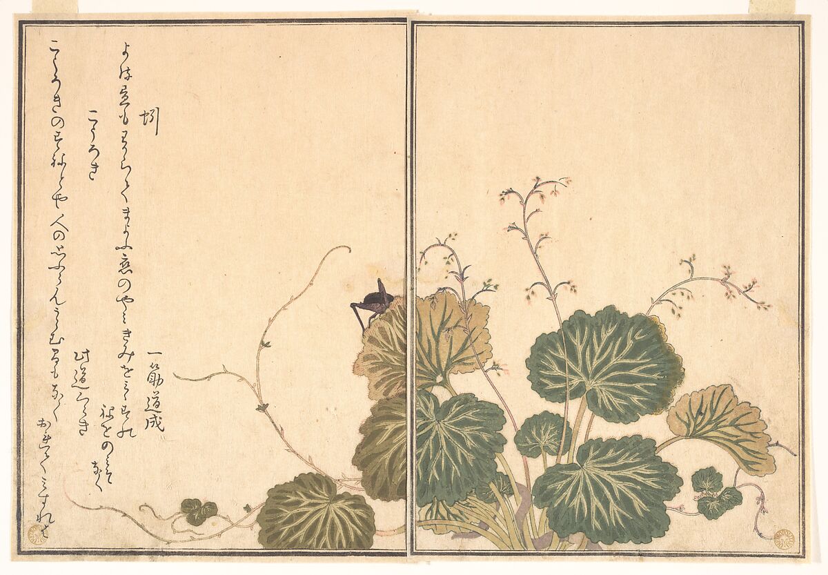Earthworm (Mimizu); Cricket (Kōrogi), from the Picture Book of Crawling Creatures (Ehon mushi erami), Kitagawa Utamaro (Japanese, ca. 1754–1806), Page from woodblock-printed book; ink and color on paper, Japan 