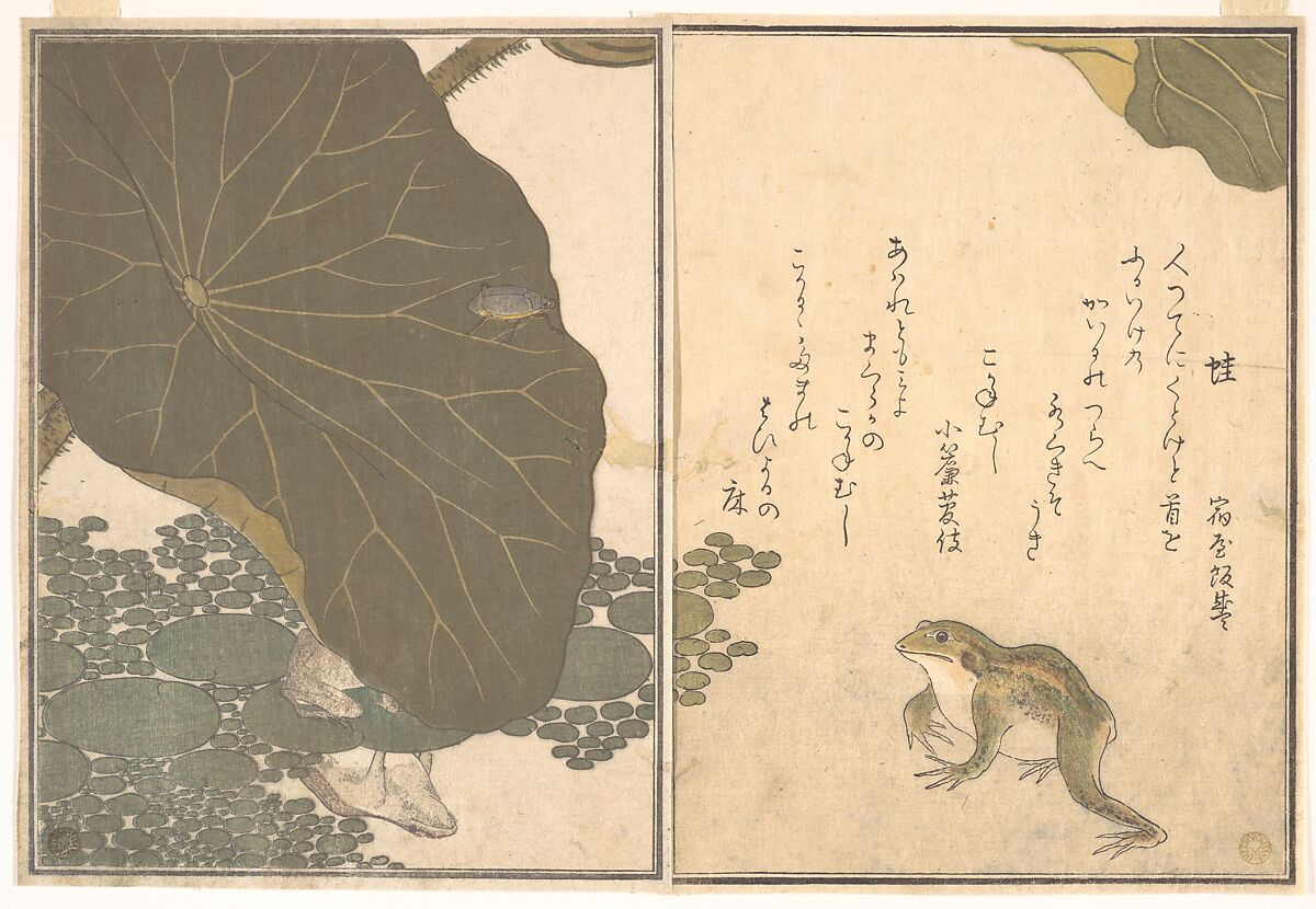 Frog (Kaeru); Gold Beetle (Kogane mushi), from the Picture Book of Crawling Creatures (Ehon mushi erami)
, Kitagawa Utamaro  Japanese, Page from woodblock-printed book; ink and color on paper, Japan