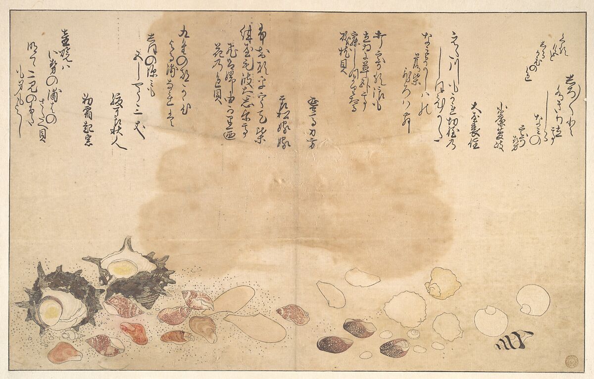 Shells under Water, Kitagawa Utamaro (Japanese, ca. 1754–1806), Woodblock print; ink and color on paper, Japan 
