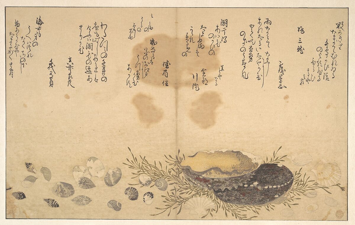 Shells Under Water, Kitagawa Utamaro (Japanese, ca. 1754–1806), Woodblock print; ink and color on paper, Japan 