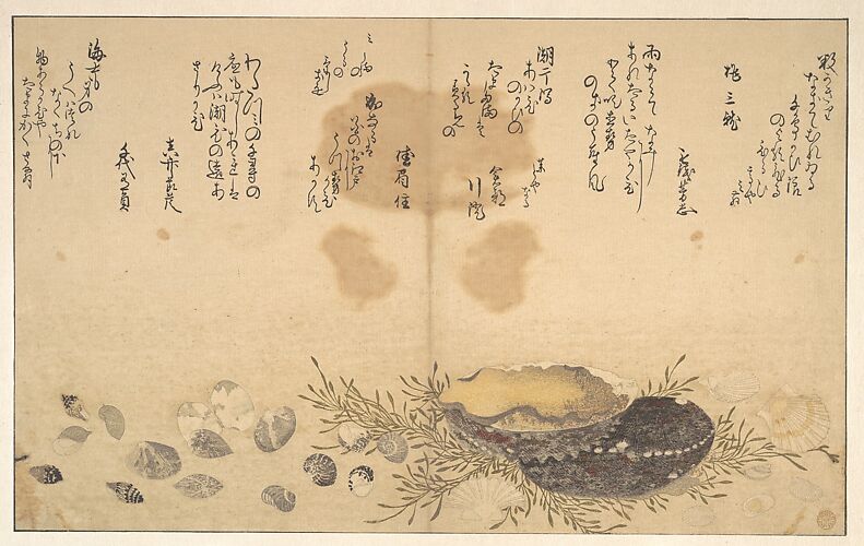 Kitagawa Utamaro 喜多川歌麿 | Gifts from the Ebb-Tide (The Shell 