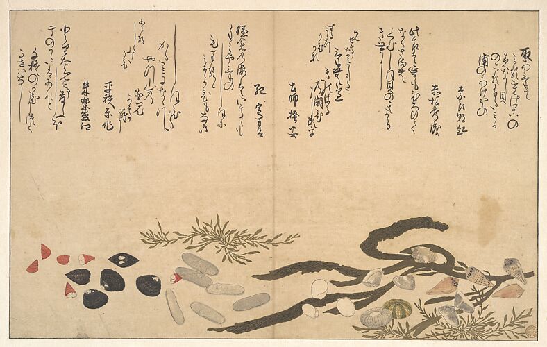 Kitagawa Utamaro 喜多川歌麿 | Gifts from the Ebb-Tide (The Shell 