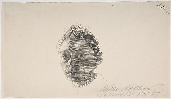 Self-Portrait, turned slightly to the left, Käthe Kollwitz  German, Pen and different shades of gray-black ink