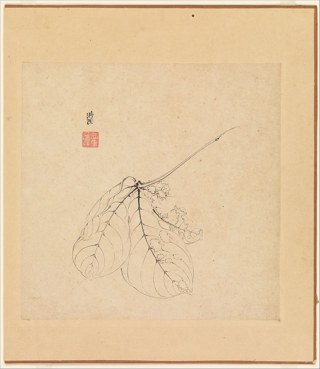 Miscellaneous Studies, Chen Hongshou (Chinese, 1598/99–1652), Album of twelve paintings; ink on paper, China