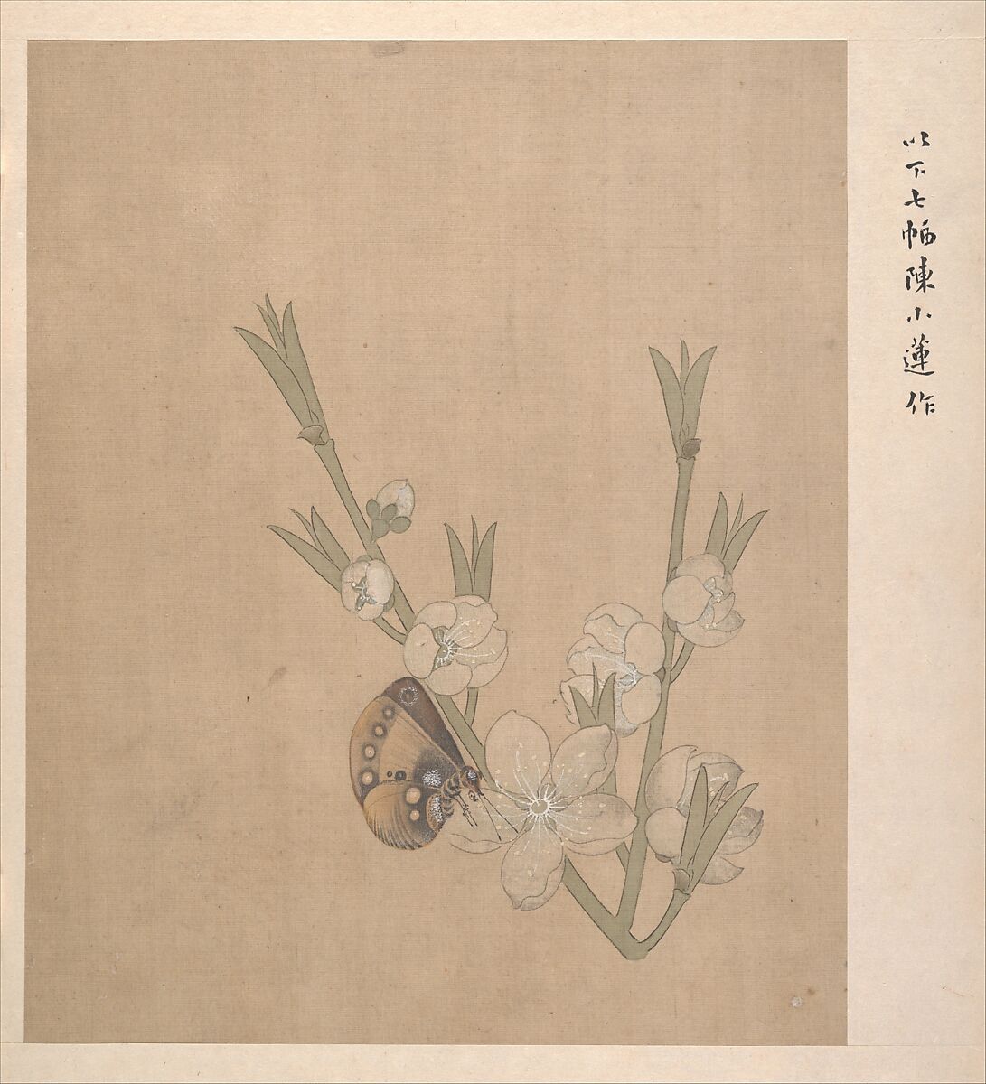 Figures, flowers, and landscapes, leaves a–d by Chen Hongshou (Chinese, 1598/99–1652), Album of eleven leaves; ink and color on silk, China