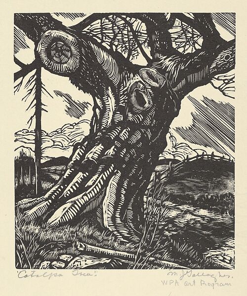 Catalpa Tree, Michael J. Gallagher (American, Scranton, Pennsylvania 1898–1965 Philadelphia, Pennsylvania), Wood engraving 