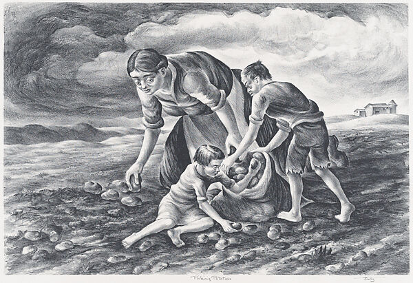 Picking Potatoes, Hugh Botts (American, New York 1903–1964 Cranford, New Jersey), Lithograph 