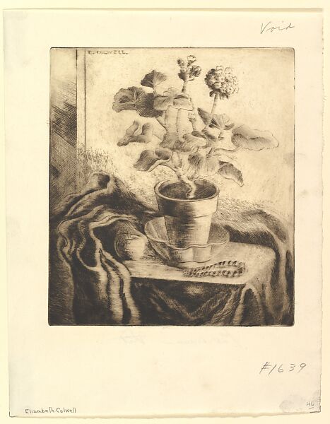 Geranium, Elizabeth Colwell (American, Bronson, Michigan 1881–1954), Etching 