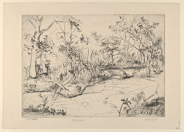 Woodland, Adams Wirt Garrett (American, Forney, Texas 1908–2000 Plainfield, New Jersey), Drypoint 