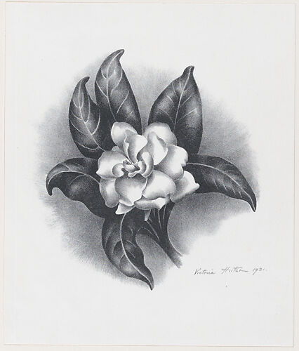 Gardenia