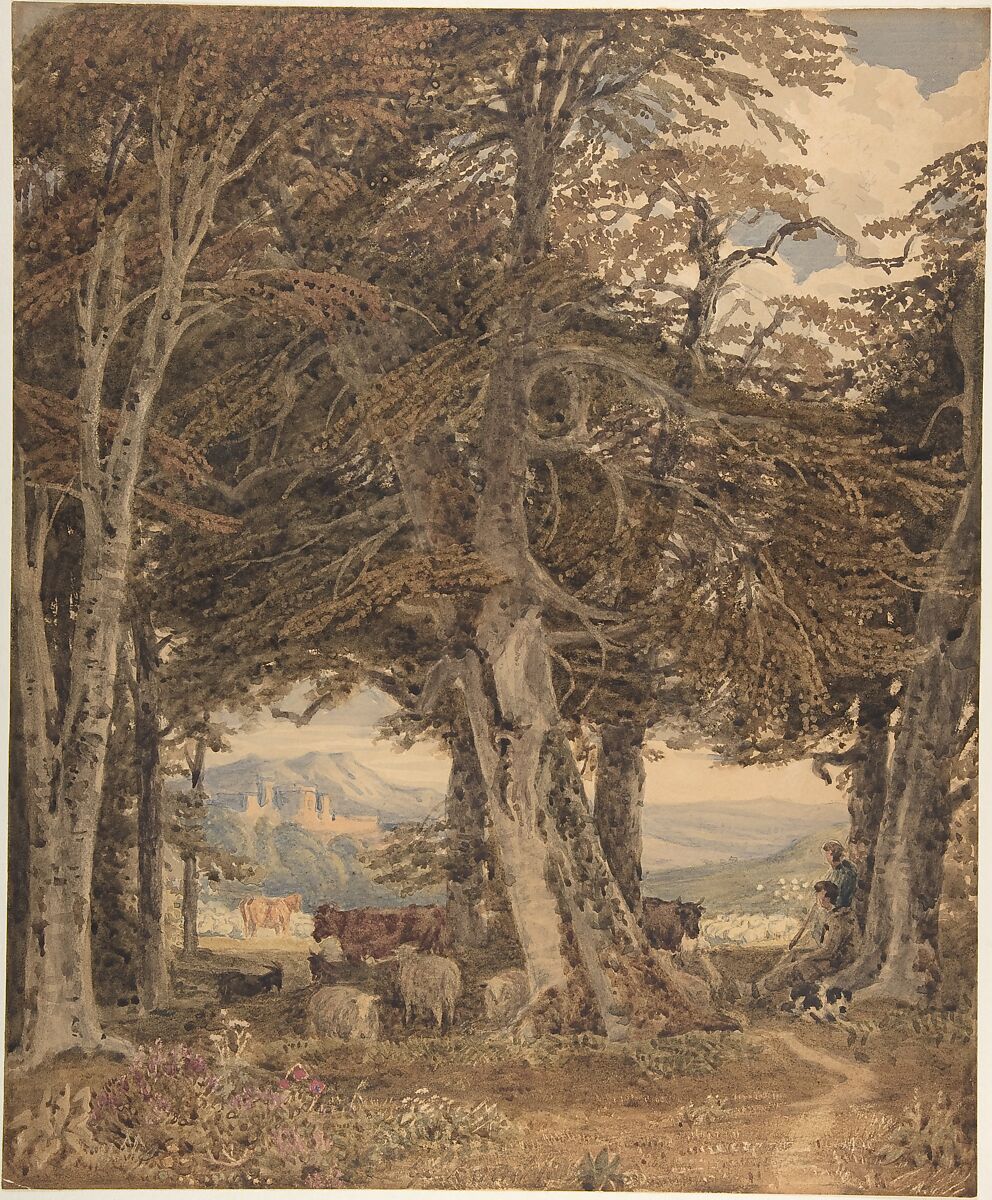 Cattle and sheep at resting at the edge of a forest, George Barret, the younger (British, London 1767–1842 London), Watercolor and gouache (bodycolor) over graphite, with reductive techniques and gum arabic 