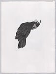 Parrots and Cockatoos, Portfolio of 20 Etchings, Elizabeth Butterworth (British, born Rochdale, Lancashire, 1949), Etching, aquatint