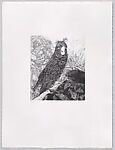 Parrots and Cockatoos, Portfolio of 20 Etchings, Elizabeth Butterworth (British, born Rochdale, Lancashire, 1949), Etching, aquatint