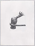 Parrots and Cockatoos, Portfolio of 20 Etchings, Elizabeth Butterworth (British, born Rochdale, Lancashire, 1949), Etching, aquatint
