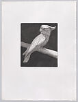 Parrots and Cockatoos, Portfolio of 20 Etchings, Elizabeth Butterworth (British, born Rochdale, Lancashire, 1949), Etching, aquatint