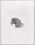 Parrots and Cockatoos, Portfolio of 20 Etchings, Elizabeth Butterworth (British, born Rochdale, Lancashire, 1949), Etching, aquatint