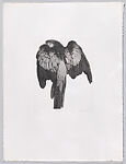 Parrots and Cockatoos, Portfolio of 20 Etchings, Elizabeth Butterworth (British, born Rochdale, Lancashire, 1949), Etching, aquatint