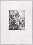 Parrots and Cockatoos, Portfolio of 20 Etchings, Elizabeth Butterworth (British, born Rochdale, Lancashire, 1949), Etching, aquatint