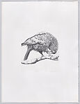 Parrots and Cockatoos, Portfolio of 20 Etchings