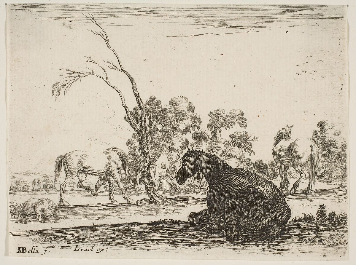 A seated horse to right, seen from behind and turned to the left, three other horses in middleground, a tree in center, plate 8 from "Various Figures" (Agréable diversité de figures), Stefano della Bella (Italian, Florence 1610–1664 Florence), Etching; fourth state of five (De Vesme) 