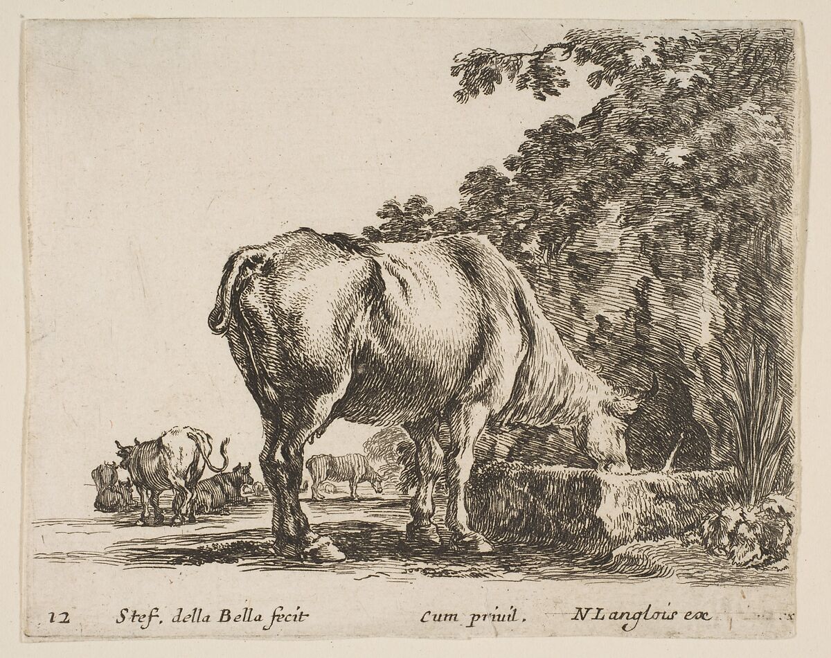 A cow drinking from a stone trough, other cows to left in background, plate 12 from "Diversi capricci", Stefano della Bella (Italian, Florence 1610–1664 Florence), Etching; third state of four 