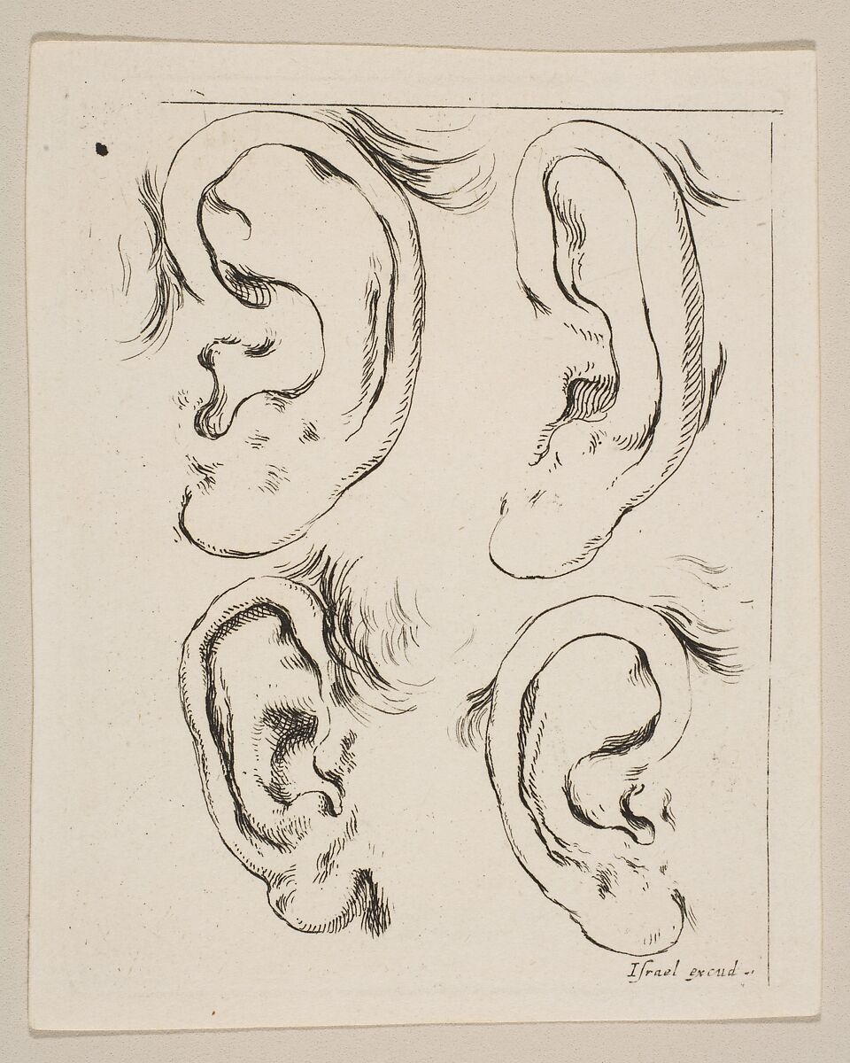 Plate 5: four ears, from 'The Book for Learning to Draw' (Livre pour apprendre à dessiner), Stefano della Bella (Italian, Florence 1610–1664 Florence), Etching 