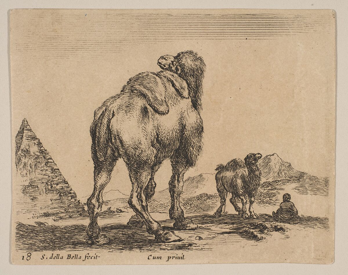 Plate 18: Camel viewed from behind with pyramid at left, from "Various animals" (Diversi animali), Stefano della Bella (Italian, Florence 1610–1664 Florence), Etching; third state of three 