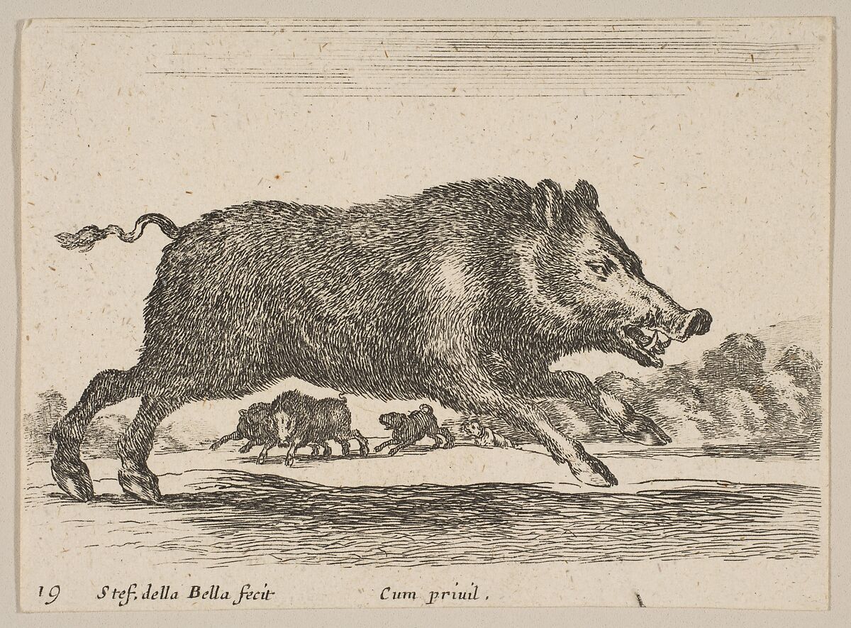 Plate 19: Wild Boar, from "Various animals" (Diversi animali), Stefano della Bella (Italian, Florence 1610–1664 Florence), Etching; third state of three (De Vesme) 