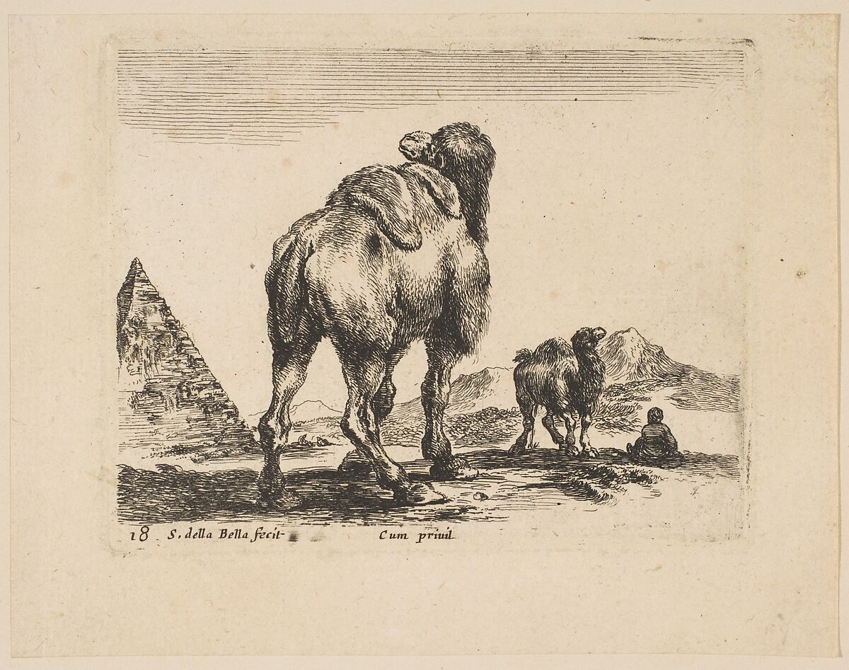 Plate 18: camel viewed from behind with pyramid at left, from 'Various animals' (Diversi animali), Stefano della Bella (Italian, Florence 1610–1664 Florence), Etching; third state of three (De Vesme) 