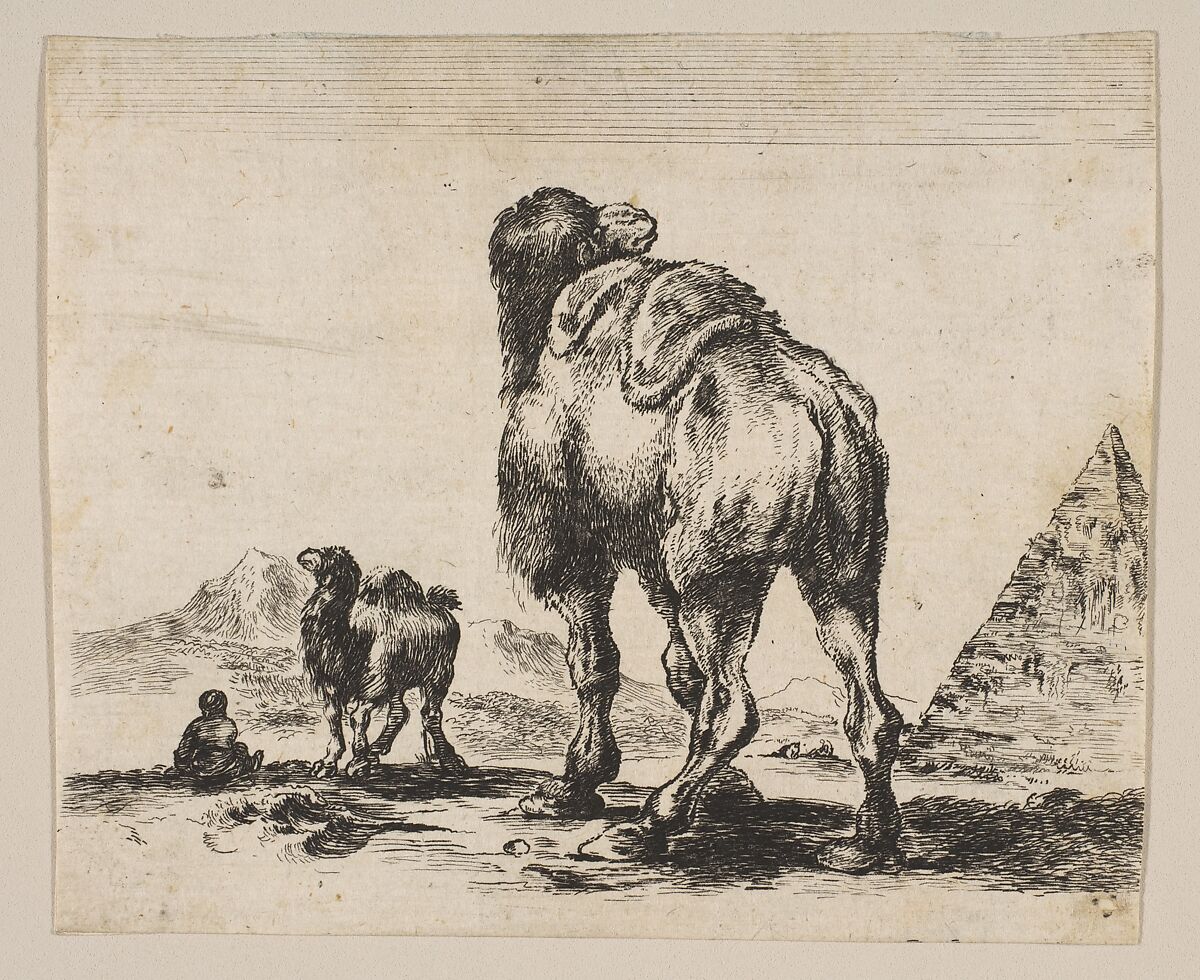 Plate 18: Camel viewed from behind with pyramid at right, from "Various animals" (Diversi animali), After Stefano della Bella (Italian, Florence 1610–1664 Florence), Etching; reverse copy 