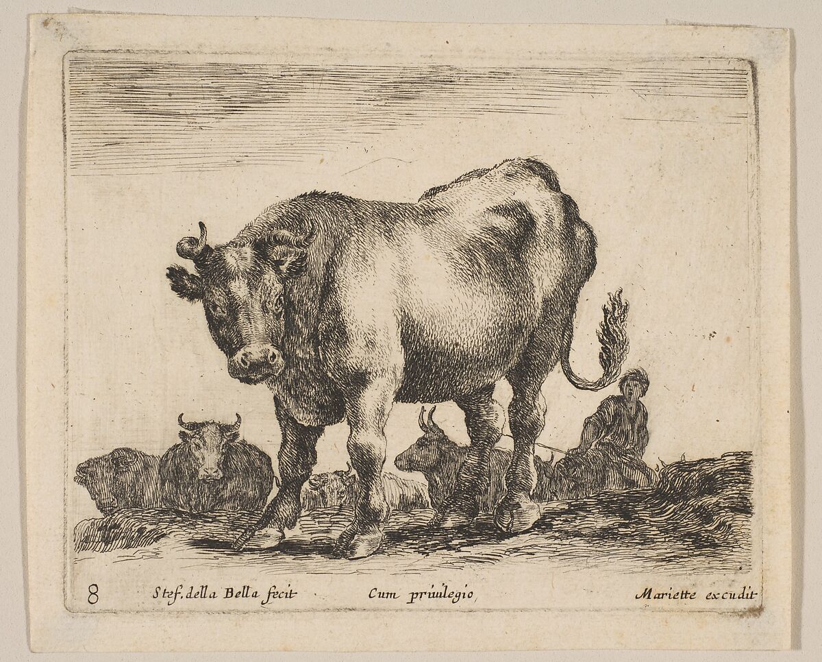 Plate 8: Ox, from "Various animals" (Diversi animali), Stefano della Bella (Italian, Florence 1610–1664 Florence), Etching; second state of three 