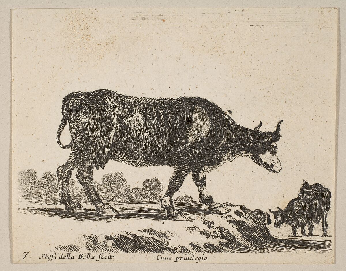Plate 7: Cow, from "Various animals" (Diversi animali), Stefano della Bella (Italian, Florence 1610–1664 Florence), Etching; third state of three 