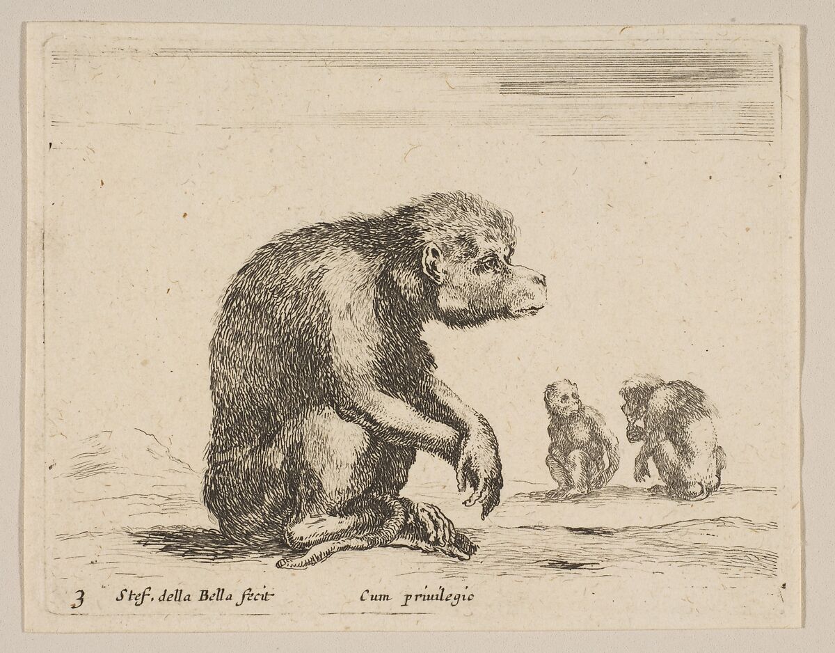 Plate 3: seated monkey, from "Various animals" (Diversi animali), Stefano della Bella (Italian, Florence 1610–1664 Florence), Etching; third state of three (De Vesme) 