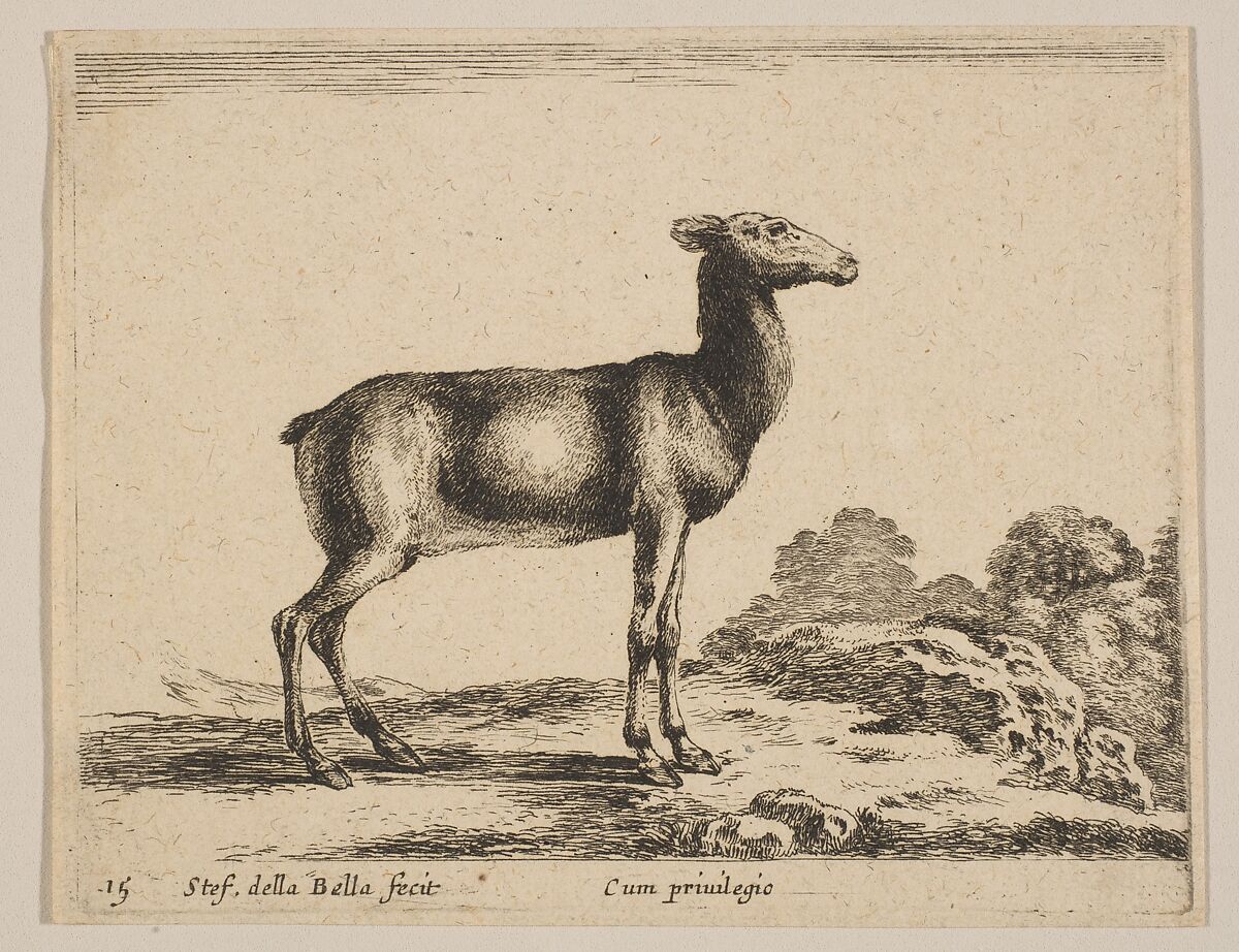 Plate 15: Doe, from "Various animals" (Diversi animali), Stefano della Bella (Italian, Florence 1610–1664 Florence), Etching; third state of three (De Vesme) 