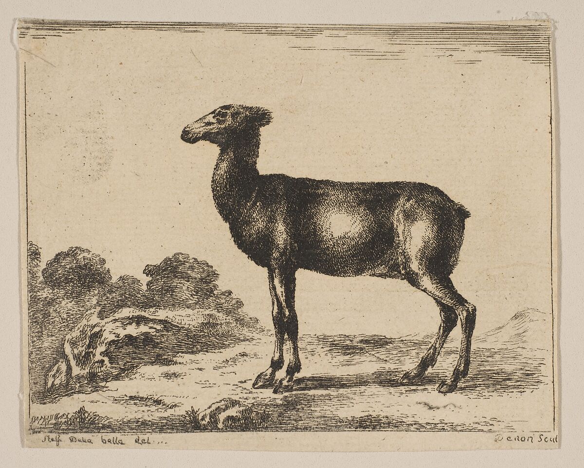 Plate 15: doe, from 'Various animals' (Diversi animali), Anonymous, 17th century, Etching; reverse copy 