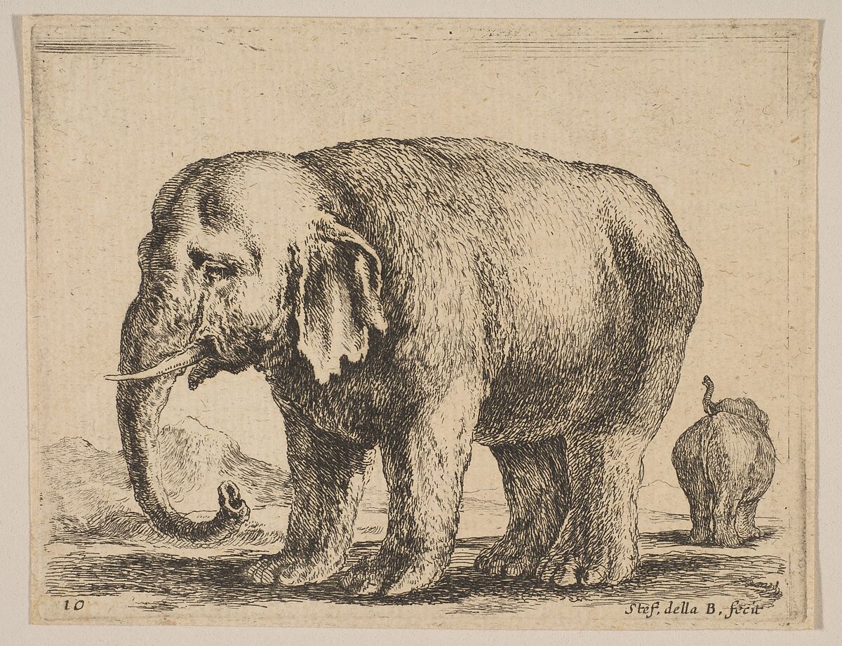 Plate 10: Elephant, from "Various animals" (Diversi animali), Stefano della Bella (Italian, Florence 1610–1664 Florence), Etching; third state of three (De Vesme) 